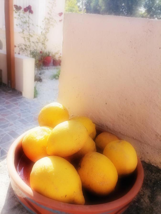 Lemon Tree House Villa Kalivai Exteriör bild